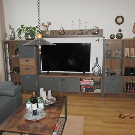 Zentrale-Ruhige Ferienwohnung Reichenbach im Vogtland Extérieur photo