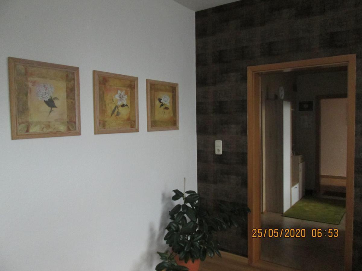 Zentrale-Ruhige Ferienwohnung Reichenbach im Vogtland Extérieur photo