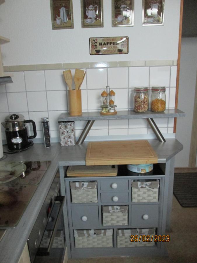 Zentrale-Ruhige Ferienwohnung Reichenbach im Vogtland Extérieur photo