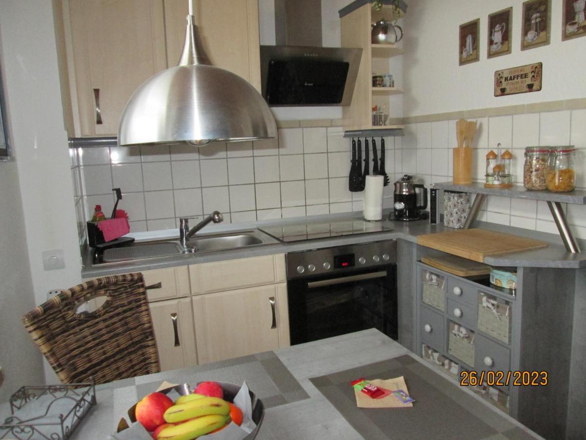 Zentrale-Ruhige Ferienwohnung Reichenbach im Vogtland Extérieur photo